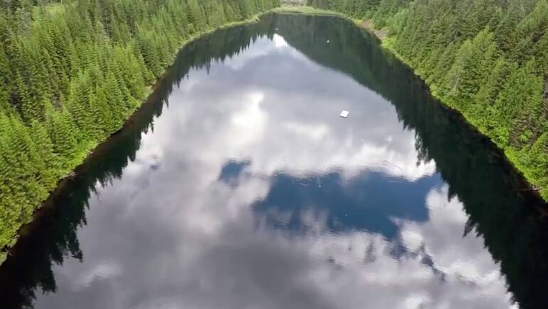 We Saved Cottonwood Lake!